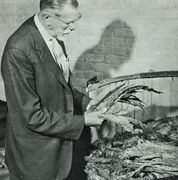 Mr. Alfred H. Dunhill contrôlant les feuilles.