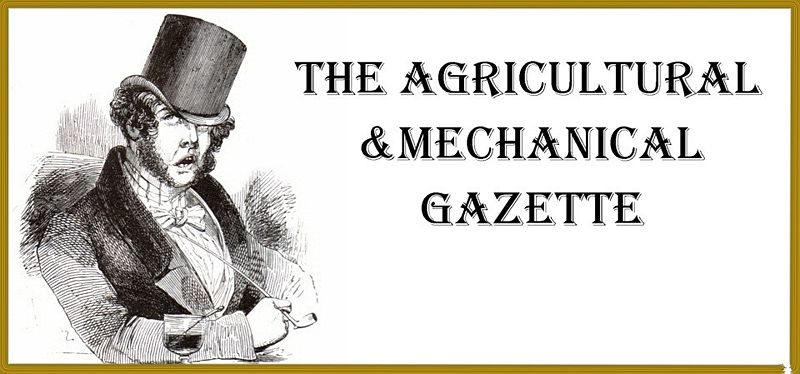File:A&M Gazette Cover Logo.jpg